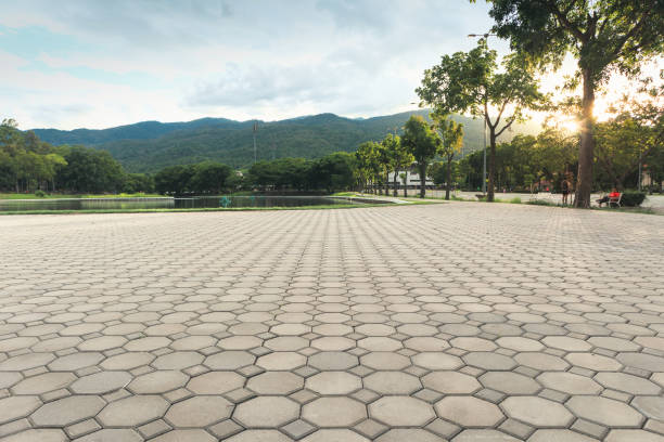 Best Brick Driveway Pavers  in Tennessee Ridge, TN